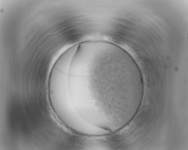 X0000088070864200706011512