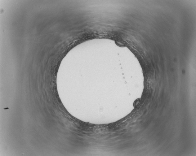 X0000088070865200706011511