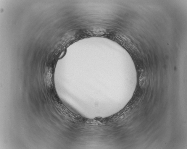 X0000088070866200706011511