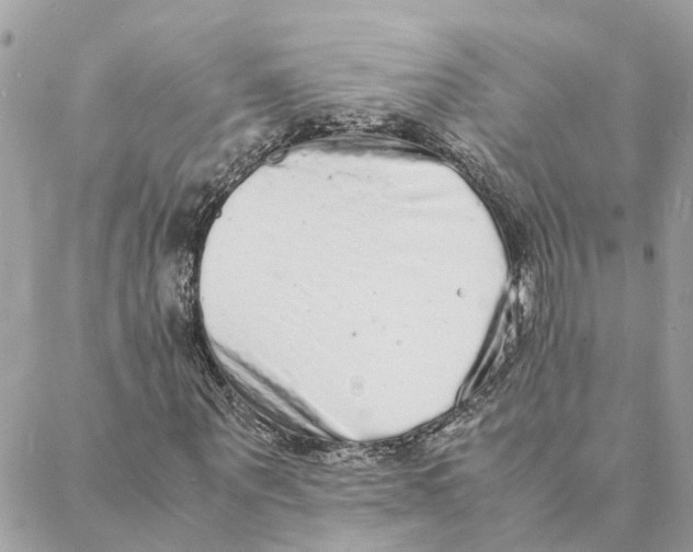 X0000088070867200706011511