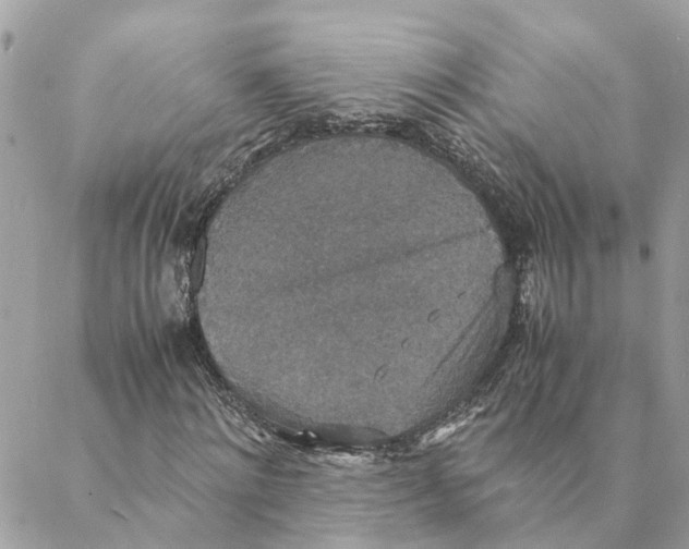 X0000088070868200706011511