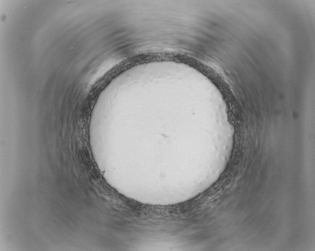 X0000088070871200706011511