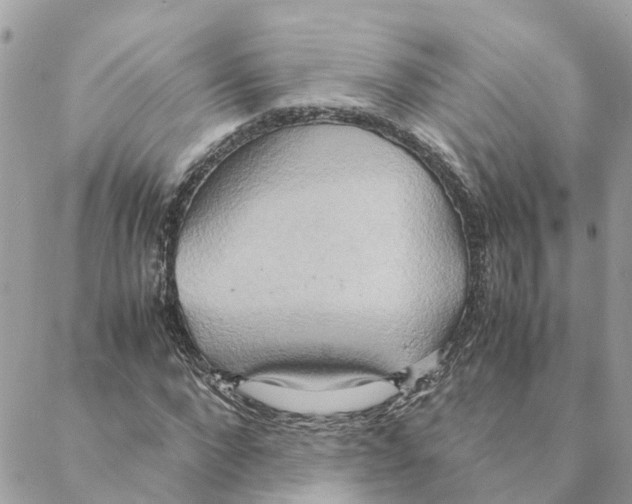 X0000088070872200706011511