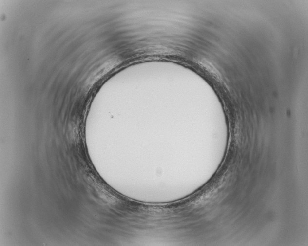 X0000088070873200706011511