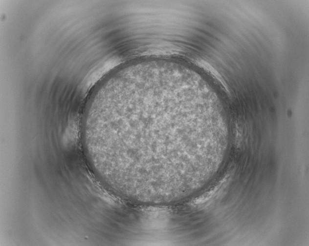 X0000088070874200706011511