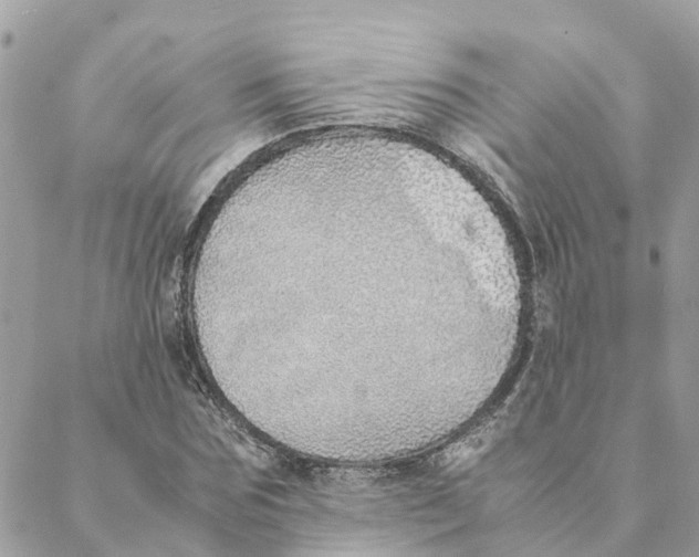 X0000088070875200706011511