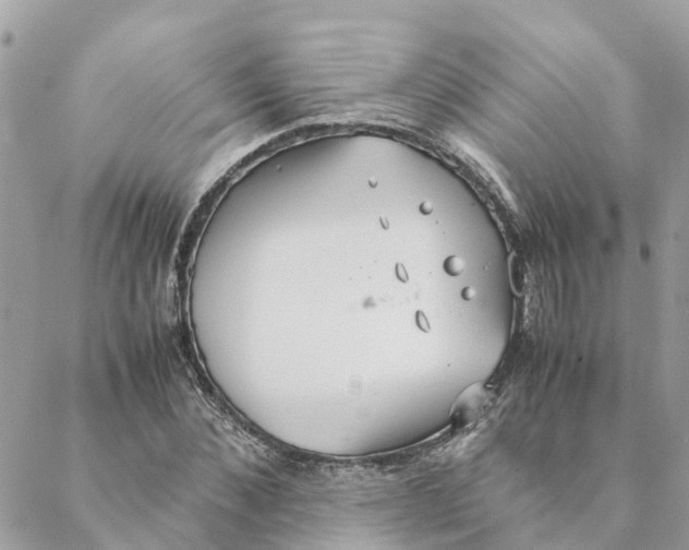 X0000088070876200706011511