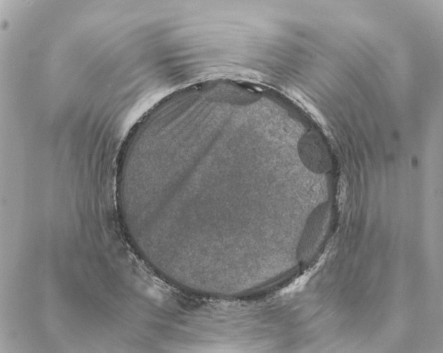 X0000088070877200706011511