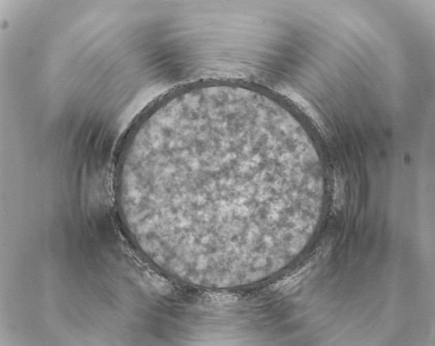 X0000088070878200706011511