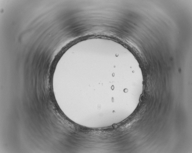 X0000088070880200706011511