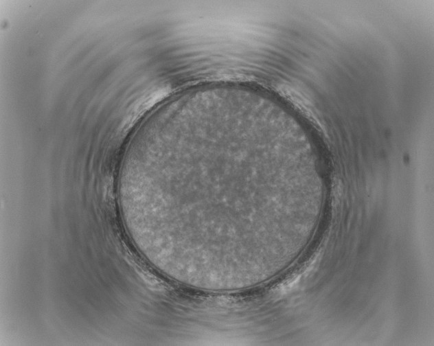 X0000088070881200706011511