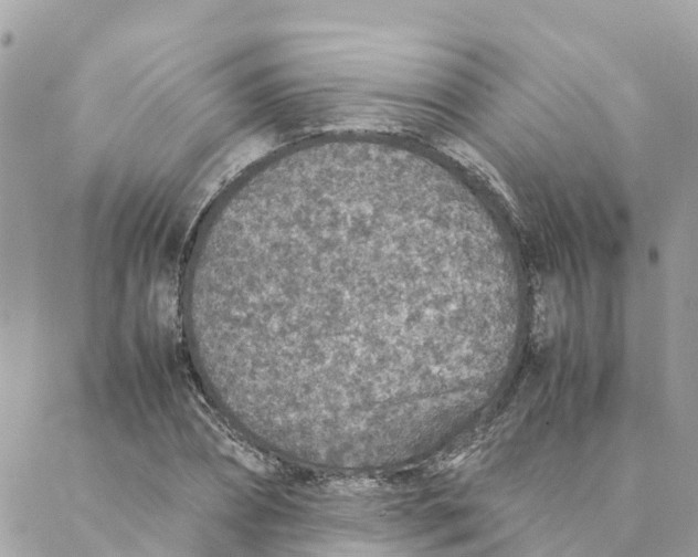 X0000088070882200706011511