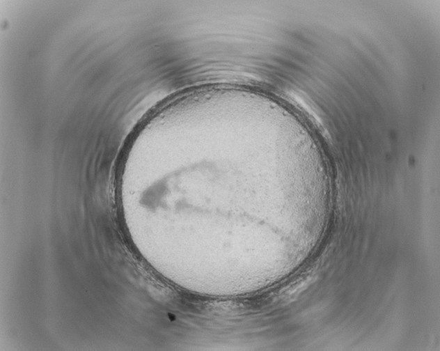 X0000088070883200706011511