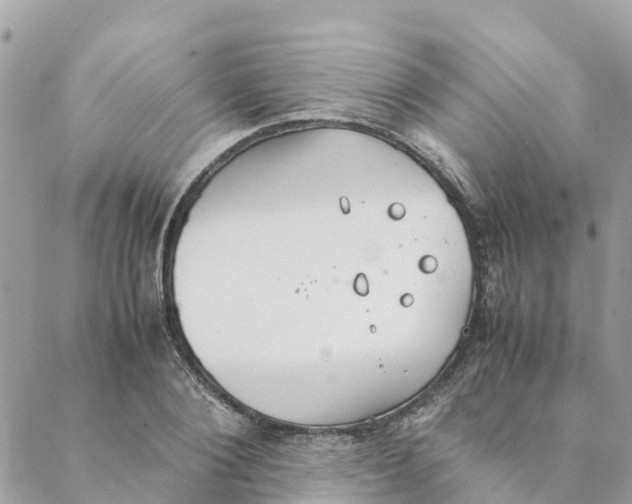 X0000088070884200706011511