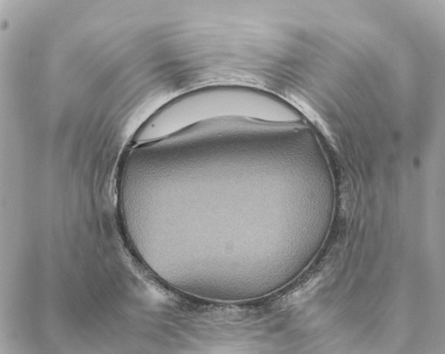 X0000088070885200706011511