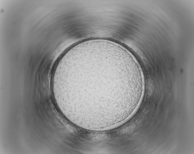 X0000088070886200706011511