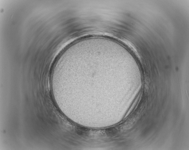 X0000088070887200706011511