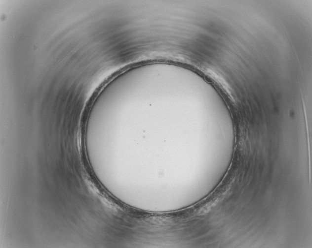 X0000088070888200706011511