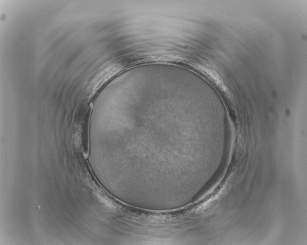 X0000088070889200706011511