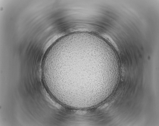 X0000088070890200706011511