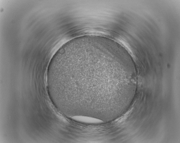 X0000088070891200706011511