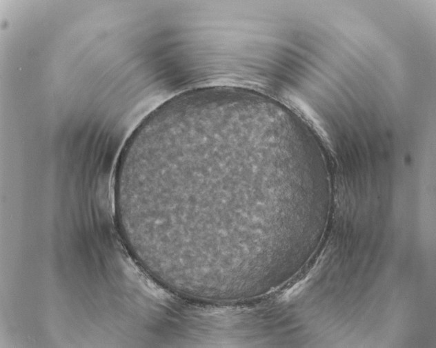 X0000088070892200706011511