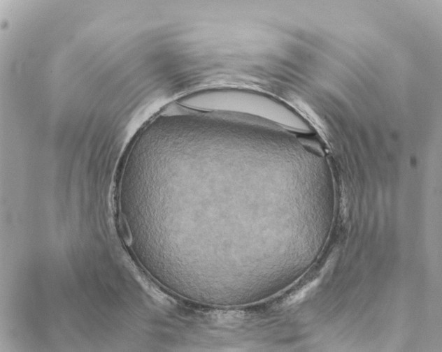 X0000088070893200706011511