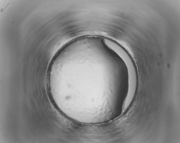 X0000088070895200706011511