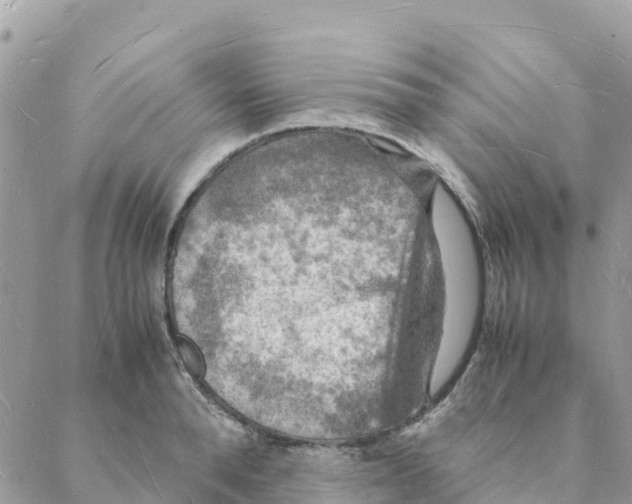 X0000088070896200706011511