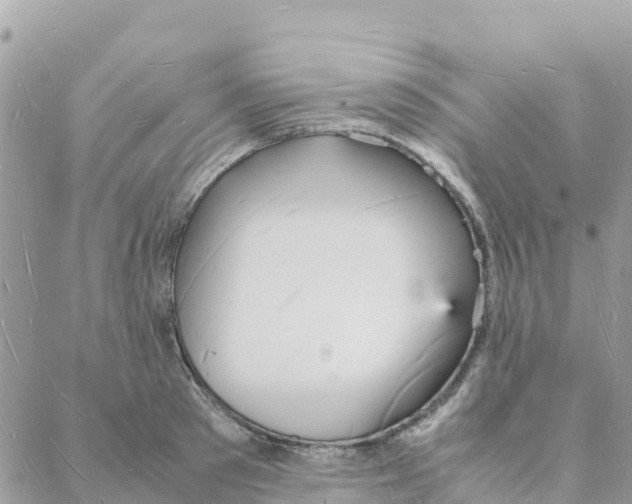 X0000088070897200706011511