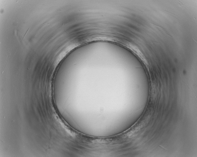 X0000088070898200706011510