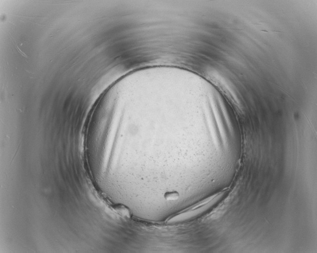 X0000088070900200706011510