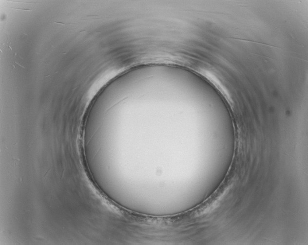 X0000088070901200706011510