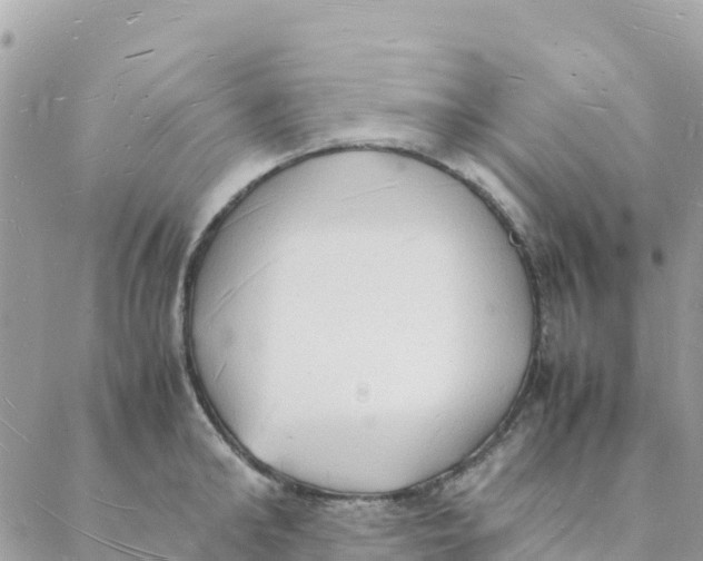 X0000088070902200706011510