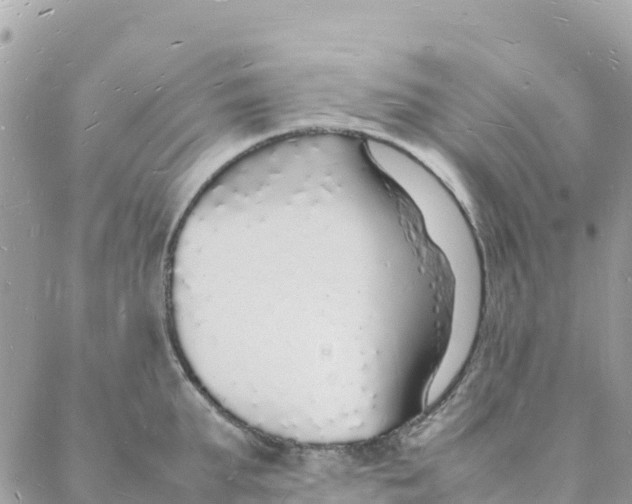 X0000088070903200706011510