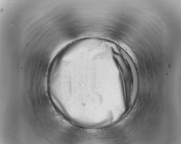 X0000088070904200706011510