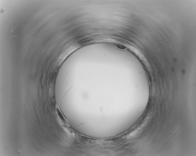 X0000088070905200706011510