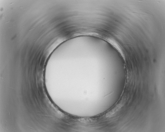 X0000088070906200706011510