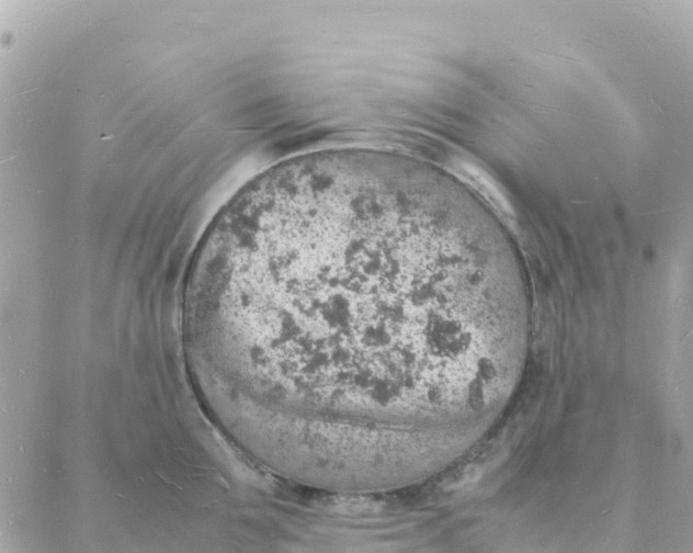 X0000088070907200706011510