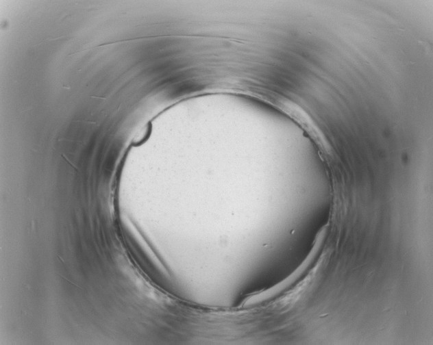 X0000088070908200706011510