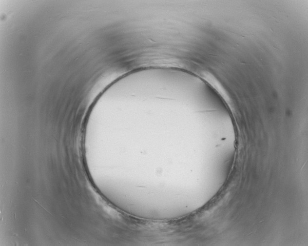 X0000088070909200706011510