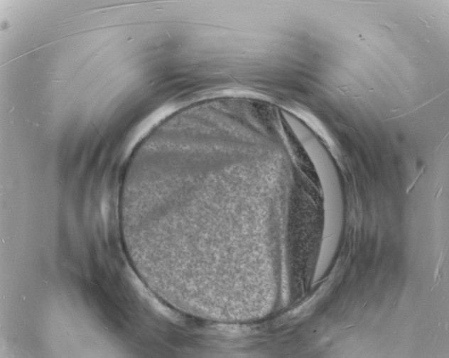 X0000088070910200706011510