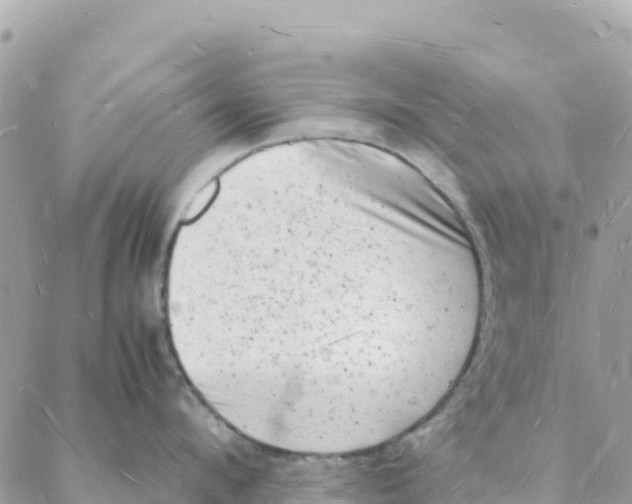 X0000088070912200706011510