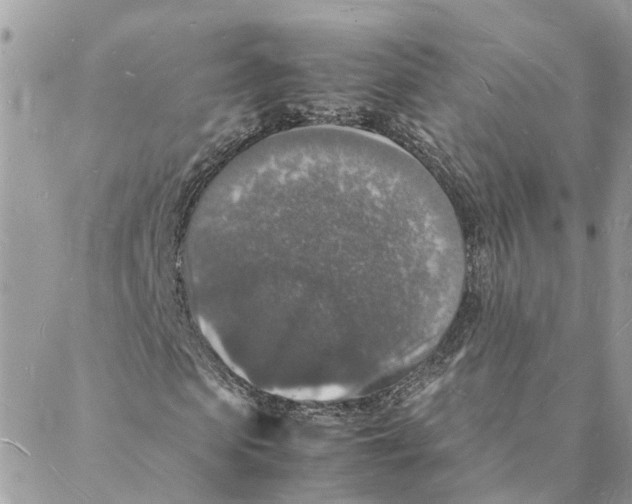 X0000088070913200706011509