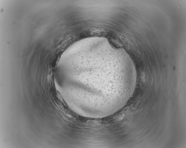 X0000088070914200706011510