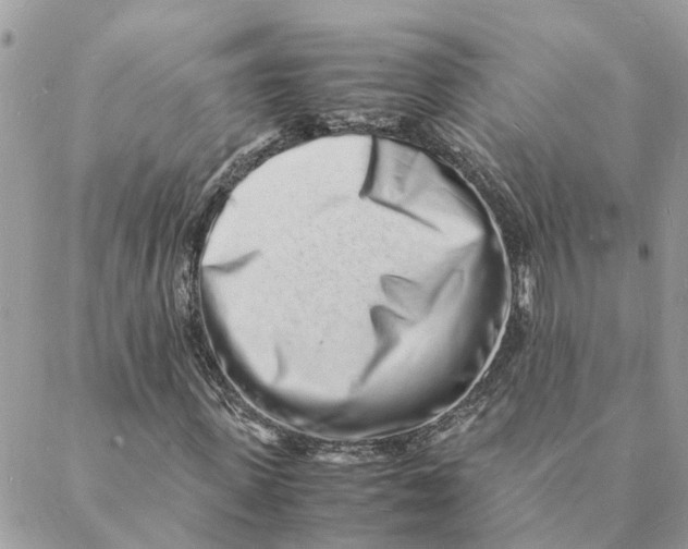 X0000088070915200706011510