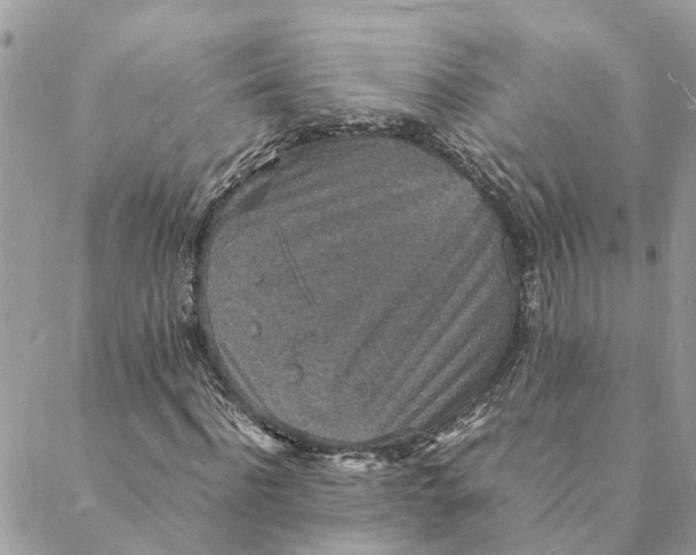 X0000088070916200706011510