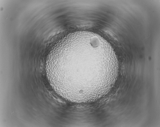 X0000088070917200706011510