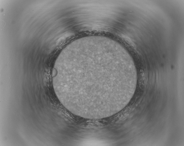 X0000088070918200706011510