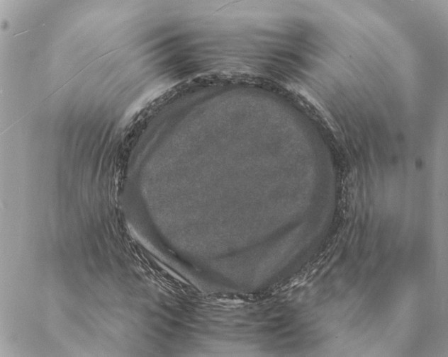 X0000088070919200706011510